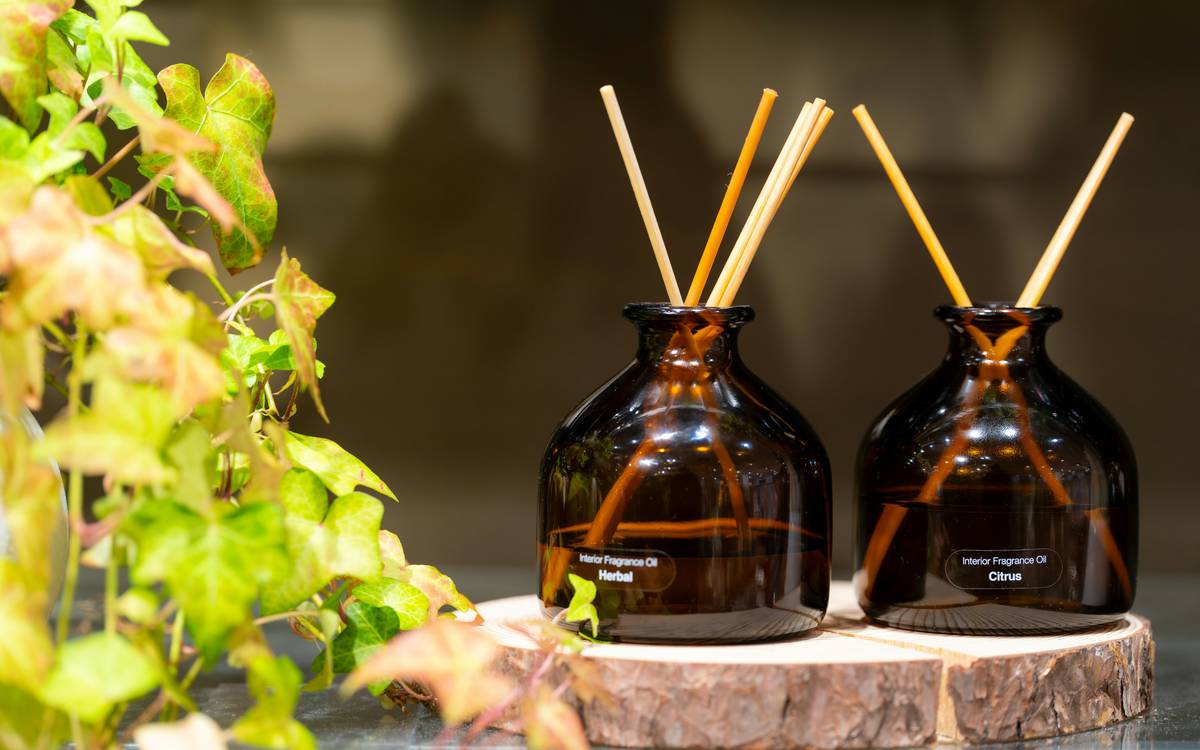 Why Your Home Still Smells Like Chemical Soup—And How All Natural Air Fresheners Can Save the Day