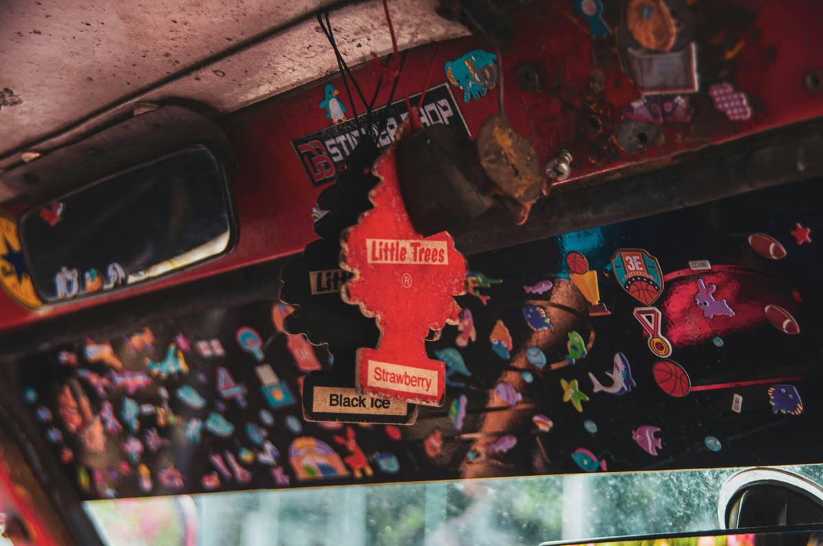 Electronic Air Fresheners for the Home: The Hidden Cost of “Clean” Scents