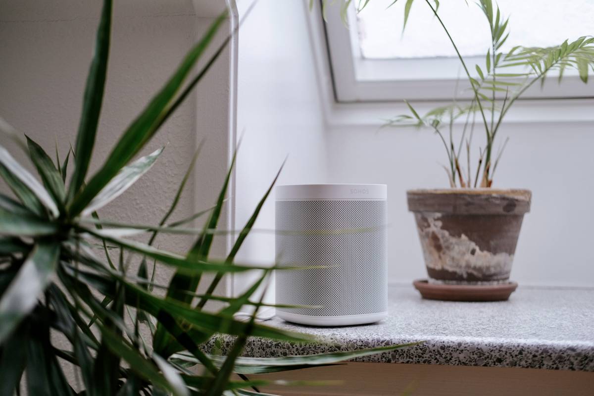 Professional Air Freshener for Home: The Natural, Non-Toxic Alternative Big Brands Don’t Want You to Know