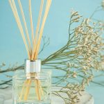 Natural Room Air Freshener: 7 Proven Ways to Avoid Toxic Mistakes