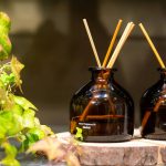 Odorless Eco Friendly Air Freshener: 7 Proven Ways to Avoid Costly Mistakes